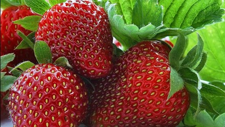 Фото компании ООО Заур и К 2