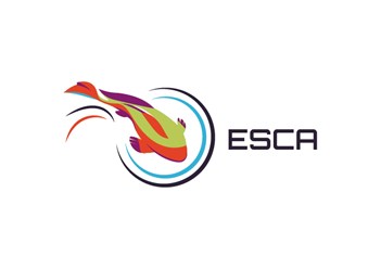 Фото компании  Студия «Pentool» 11