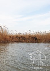 Фото компании  Итиль 9