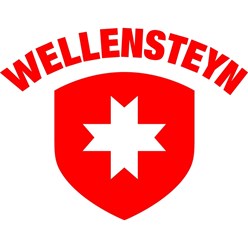 Фото компании  Wellensteyn 2