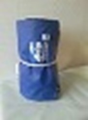 Автополог ПВХ 3 х 5