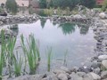 Строительство прудов