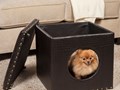 Фото компании ИП Pet - house 2