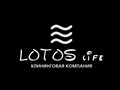 Фото компании ООО Клининговая компания Lotos life 1