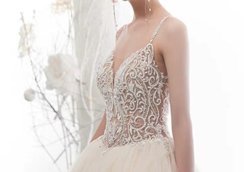 Фото компании  White angel 1