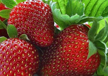 Фото компании ООО Заур и К 2