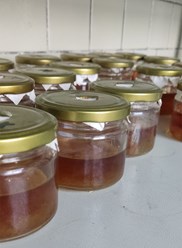 Мицелий Кордицепса жидкий для выращивания