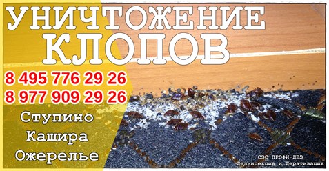 #дезинфекция 
#уничтожениеклопов 
#дезинсекция 
#уничтожениеклопов 
#уничтожениенасекомых 
#дезинсекцияколомна 
#дезинфекцияколомна 
#уничтожениекомаровколомна 
#уничтожениеклоповколомнепрофидез