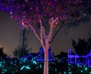Фото компании ИП «LED DANCE» 2