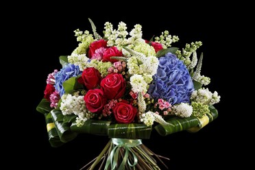 Фото компании ООО Ирис 1