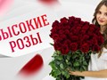 Фото компании ООО Premium Flowers 6