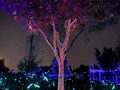 Фото компании ИП «LED DANCE» 2