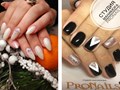 Фото компании  Pronails 2