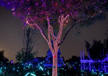 Фото компании ИП «LED DANCE» 2