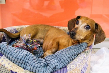 Фото компании  BookingCat 10