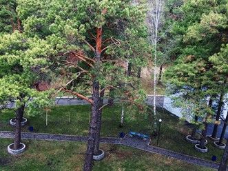 Фото компании  Парус medical resort & spa 47