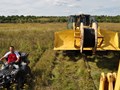 Фото компании ИП СМР "Связь" 1