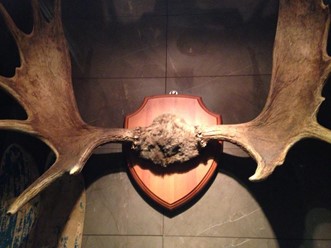 Фото компании  Чум 46