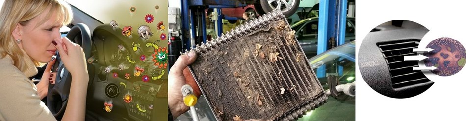 Фото компании  Shell centr 13