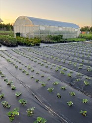 Фото компании  Бережки 12