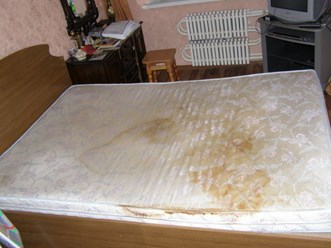 Фото компании ИП Мир Свежести 5