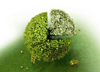 Фото компании ООО ProfiStaff 1