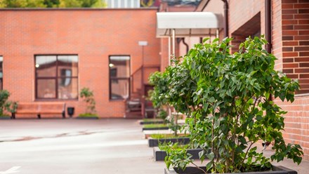 Фото компании  Албакофф 14