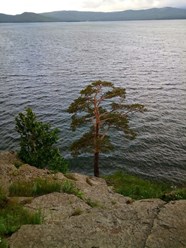 Компания Просептико