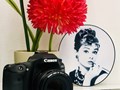 Фото компании  ФОТОАТЕЛЬЕ "gh" 2