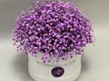 Фото компании ИП Flowers Rossa Цветы & Подарки 2