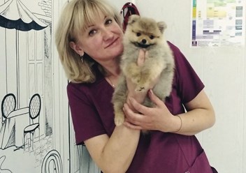 Фото компании  КОТиКо 3