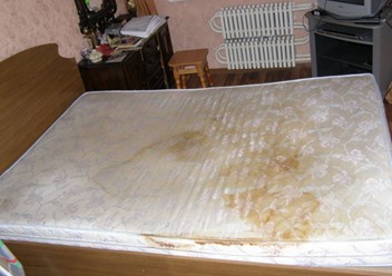 Фото компании ИП Мир Свежести 5