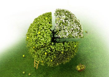 Фото компании ООО ProfiStaff 1