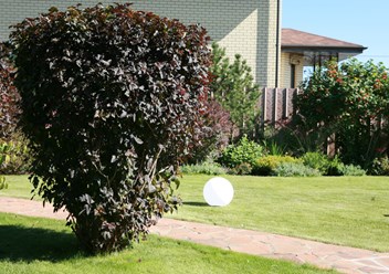 Фото компании ООО GreenLand-Kazan 4