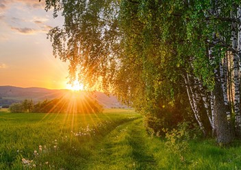 Фото компании ООО Агентство недвижимости «Империал Сити» 3