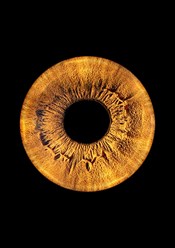 Фото компании  MemoriesUral 14