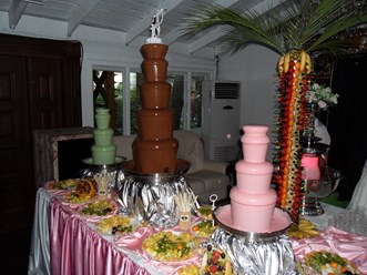 Метровый шоколадный фонтан,фонтаны  высотой 70см, метровая фруктовая пальма,фонтан для шампанского