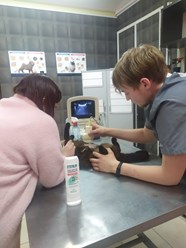 Фото компании ООО Тайфун 4