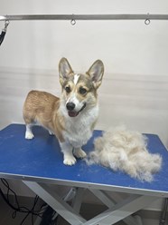 Фото компании  ZooMeister 2