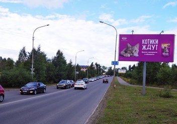 Магистральный щит (билборд)  6х3 м. Петрозаводск, пр. Лесной