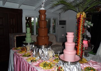Метровый шоколадный фонтан,фонтаны  высотой 70см, метровая фруктовая пальма,фонтан для шампанского