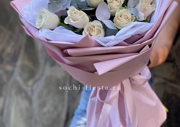 Фото компании  Сочи Фиеста 1