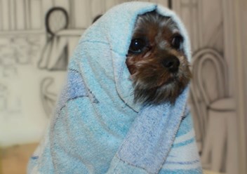 Фото компании  КОТиКо 2