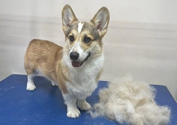 Фото компании  ZooMeister 2