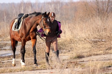 Фото компании ООО П / Х "Виват" 3