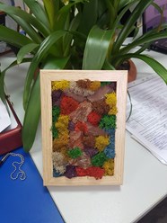 Фото компании ООО Фитостудия 5