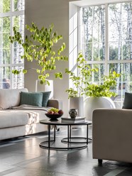 Фото компании ООО ОРНИ 4