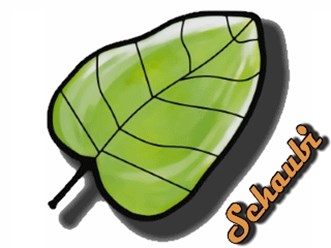 Фото компании  Шауби 1