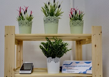 Фото компании  Даниил Массажев 4