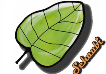 Фото компании  Шауби 1